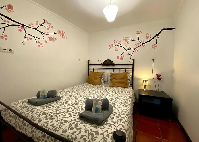 Alfama Sao Crispim شقة *