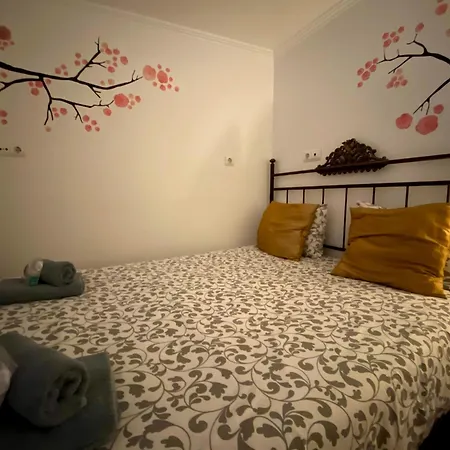 Alfama Sao Crispim Apartment